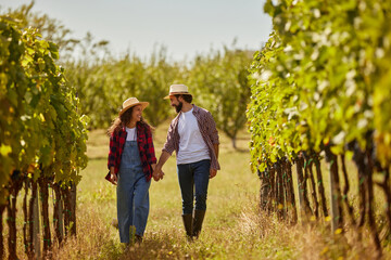 Fototapeta premium A couple strolls through a lush vineyard, enjoying the warm sun as they share moments together while managing their family wine production. The vines are abundant, signaling a good harvest.
