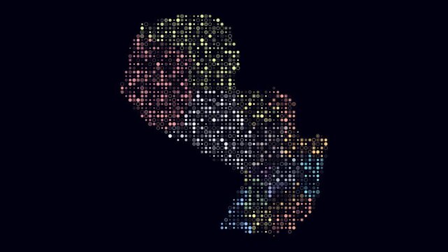 Paraguay animated country shape. Pulsating colored dots on the map of the country. Small size circle blocks. Digital style Paraguay map on dark background. Simple animation video.