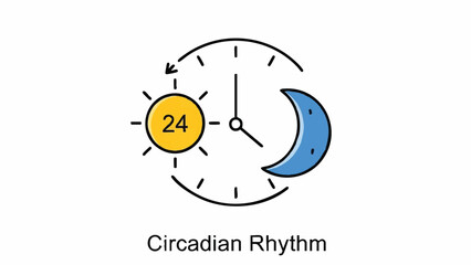 Circadian Rhythm Sun Moon Clock Cycle.