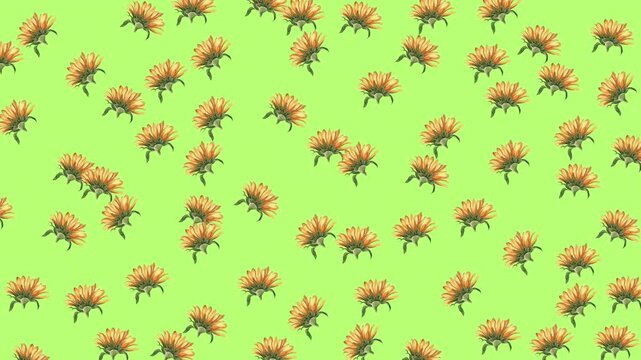 Soft botanical floral pattern featuring pastel watercolor blooms on a blush pink background, creating a charming and elegant atmosphere for decorative and creative use