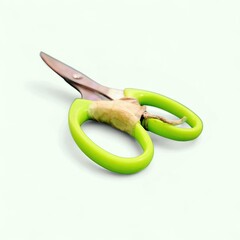 Old Green Handle Scissors with Broken Pivot Repaired with Tape