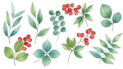 Experimente la belleza de la naturaleza con esta impresionante colecci&oacute;n de ilustraciones bot&aacute;nicas dibujadas a mano, perfecta para cualquier decoraci&oacute;n.