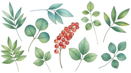 Experimente la belleza de la naturaleza con esta impresionante colecci&oacute;n de ilustraciones bot&aacute;nicas dibujadas a mano, perfecta para cualquier decoraci&oacute;n.