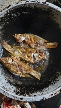 Close Up Shot of Fresh Tilapia Fish Being Deep Fried in Hot Cooking Oil Inside Traditional Wok Pan