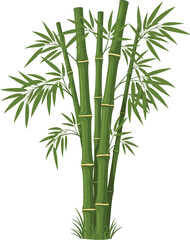 Naklejka premium Bamboo plant with green stems.