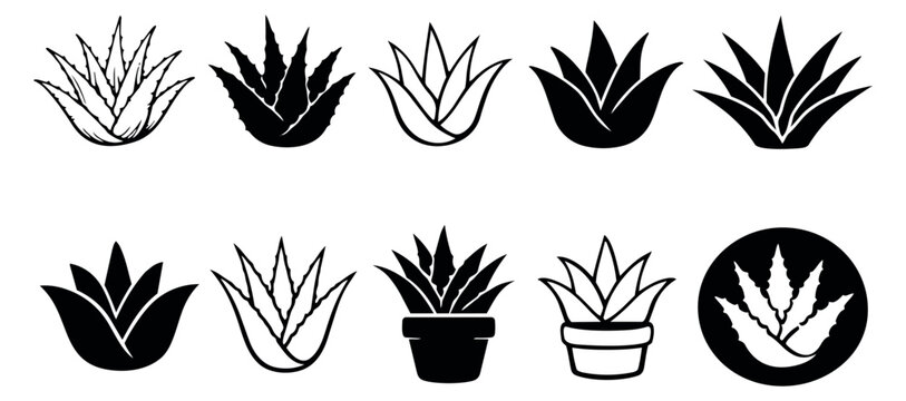 Stylized aloe vera plant set featuring line art and silhouette designs for botanical and wellness themes