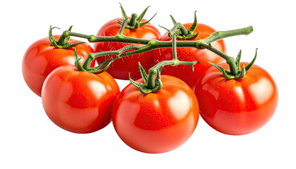 Close-up of ripe, red tomatoes on a vine, isolated against a solid black background