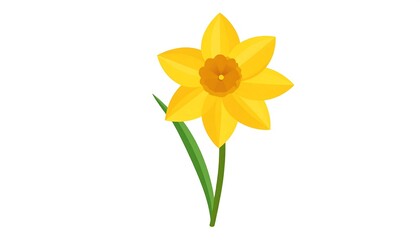 Yellow daffodil illustration © Pani