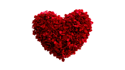 Heart made of red flowers floral symbol of love and romance isolated on transparent backdrop representing affection passion and beauty for valentine's day