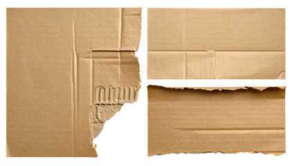 Close-up of ripped and layered corrugated cardboard showing texture and edge detail