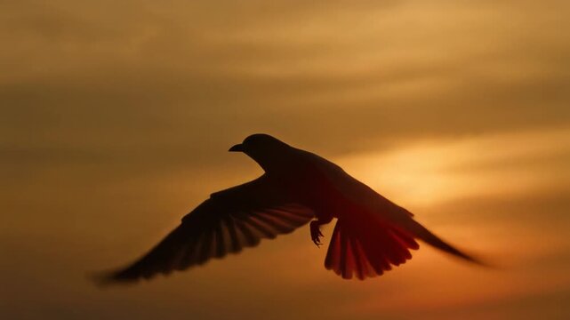 A bird flaps its wings in flight against a vibrant golden sunset sky.