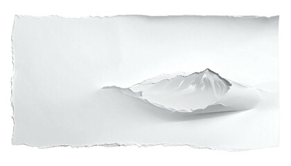 Close-up of ripped white paper with shadow detail and exposed curled section