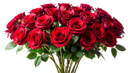 Realistic red rose flower collection isolated on transparent background for romance and valentine theme