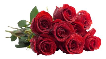 Bouquet of fresh red roses with water droplets a symbol of love romance passion and beauty perfect for valentines day or any special occasion