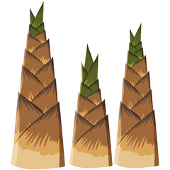 Bamboo shoot, young sprouts of bamboo plant.