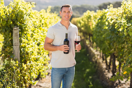 Dark glass wine bottle is resting beside filled glass among grapevines in sun near rolling hills