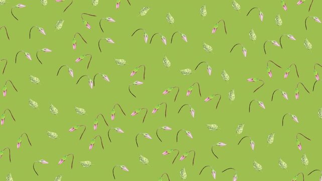 Soft botanical floral pattern featuring pastel watercolor blooms on a blush pink background, creating a charming and elegant atmosphere for decorative and creative use