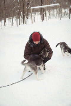 Male wearing red hat kneeling in snowy forest petting husky puppies near soccer goal frame