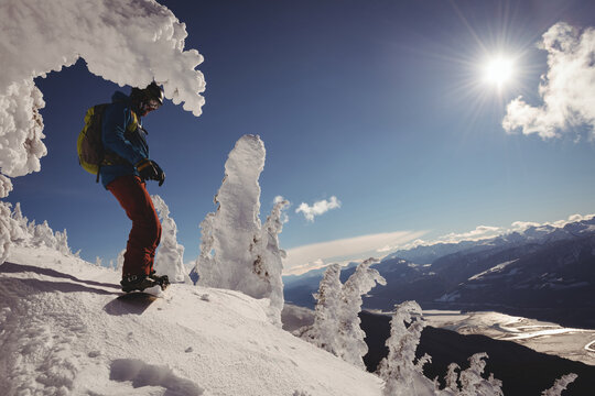 Snowboarder standing on snowy peak with snowboard near frosted trees, carrying yellow backpack