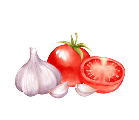 Hand-drawn illustration of tomato and garlic bulb with cloves