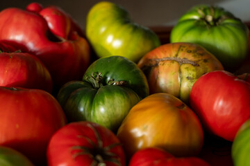 Assorted colorful heirloom tomatoes in a pile. The Concept of Harvest.