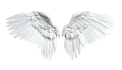 Close-up of symmetrical white wings, feathers intricate and detailed, against a black background