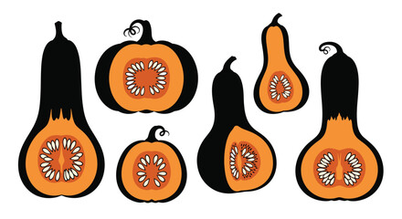 Collection of various whole and halved butternut squash or pumpkins in black and orange silhouettes.