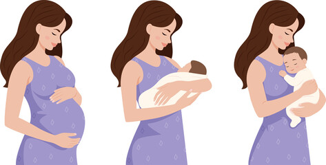 Fototapeta premium Pregnancy stages. Pregnant woman and newborn baby. Changes in female body during pregnancy. Vector cartoon illustration