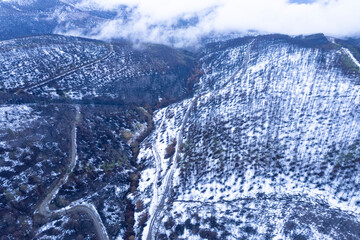Aerial view of a snowy landscape with burnt trees The Concept of Silence.