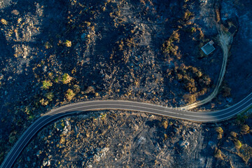 Winding asphalt road cutting through a burnt forest aerial view.