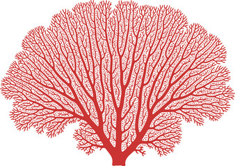 Detailed illustration of a leafless tree with intricate branches isolated