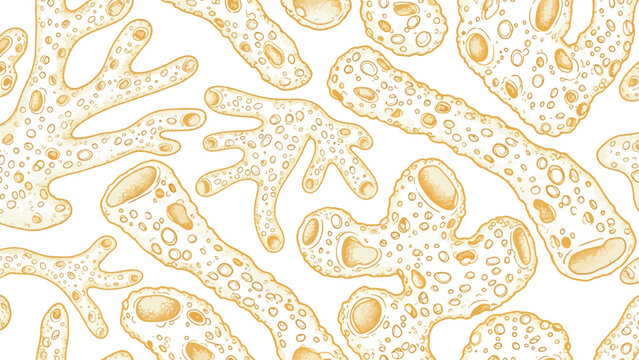 Microscopic view of bacteria and microorganisms isolated on transparent background