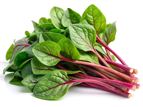 Malabar spinach