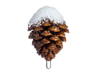 Pine cone covered with fresh snow and ice winter seasonal natural object macro close up cutout on isolated background