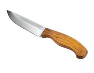 Sharp stainless steel kitchen utility knife with curved blade and wooden handle cut out on isolated background