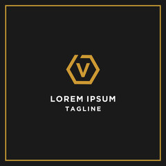 Fototapeta premium dv or vd hexagon logo