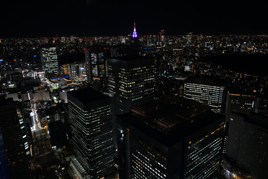 Tokyo Night Skyline from Metropolitan Government Building