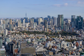 Tokyo Cityscape from Shibuya Sky Rooftop Observation Deck
