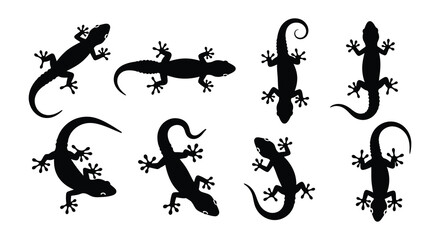 Fototapeta premium Silhouette collection of various lizard poses in black and white illustration