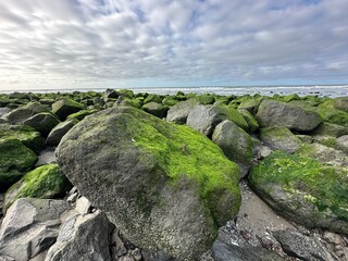 Moss covered rocks line a shore against a cloudy sky with ocean waves in the background