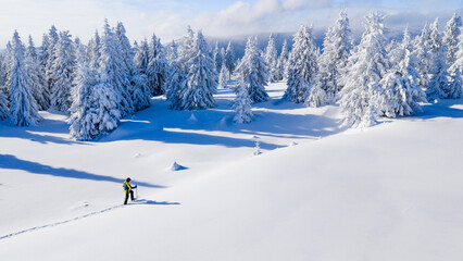 Young man snowshoe hiking through deep fresh snow in a winter forest. Dynamic movement in a frost covered landscape, capturing adventure, freedom, and active outdoor lifestyle.