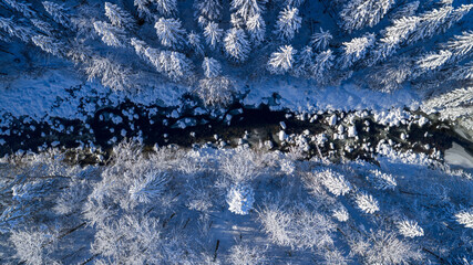 Aerial top down view of a snow covered winter forest with a frozen stream cutting through frosted pine trees. Minimal, serene winter landscape captured by drone in cold blue tones.