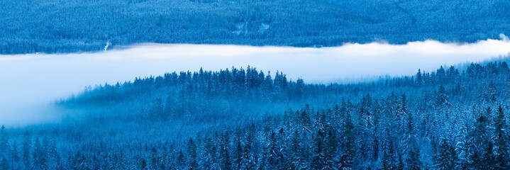 Misty winter forest landscape with layers of snow covered evergreen trees and low clouds. Soft blue tones and fog create a calm, atmospheric, and minimalist nature scene.