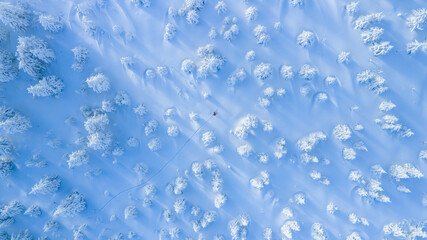 Top down aerial view of a ski mountaineer crossing a pristine winter landscape. Snow covered trees cast long shadows, creating an abstract, minimalist pattern with a sense of solitude and adventure.