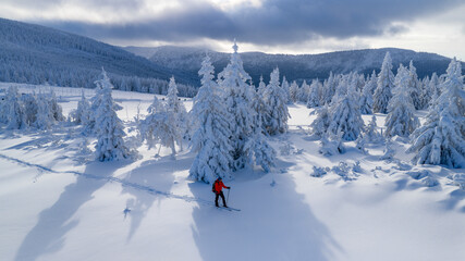 Ski mountaineer touring through a snow covered alpine forest in winter. Pristine landscape with frosted trees, deep snow, and soft winter light, expressing adventure, solitude, and freedom.