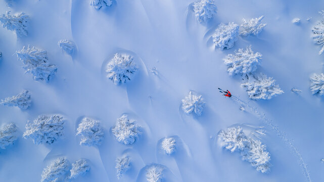 Top down aerial view of a ski mountaineer crossing a pristine winter landscape. Snow covered trees cast long shadows, creating an abstract, minimalist pattern with a sense of solitude and adventure.