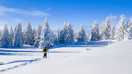 Snowshoe hiker walking through a wide snow-covered winter landscape with frosted evergreen trees under a clear blue sky. Peaceful alpine scenery expressing solitude, freedom, and untouched nature.