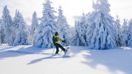 Young man snowshoe hiking through deep fresh snow in a winter forest. Dynamic movement in a frost covered landscape, capturing adventure, freedom, and active outdoor lifestyle.