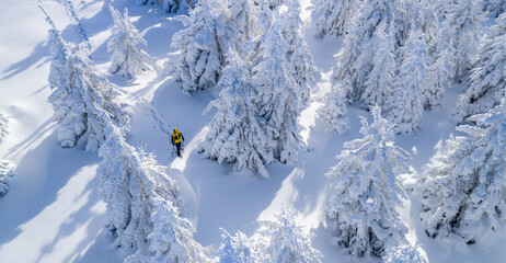 Aerial view of a young man walking on snowshoes through a pristine winter landscape. Snow-covered trees and long shadows create a minimalist, peaceful, and adventurous winter scene.