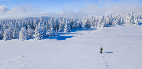 Snowshoe hiker walking through a wide snow-covered winter landscape with frosted evergreen trees under a clear blue sky. Peaceful alpine scenery expressing solitude, freedom, and untouched nature.